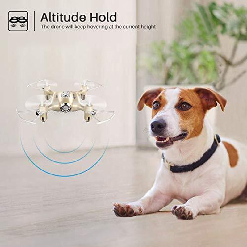 Pocket Drones for Kids with Headless Mode,Altitude Hold,3D Flip,2.4Ghz Gold