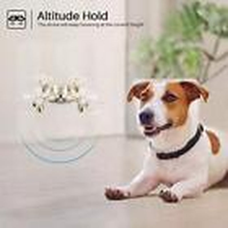 Pocket Drones for Kids with Headless Mode,Altitude Hold,3D Flip,2.4Ghz Gold